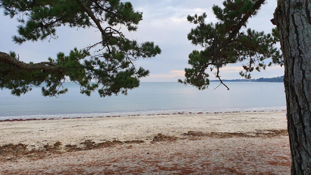 Vacances O Cap Coz - Jardin Vue Mer Et Piscine - Residence Cap Azur פואסננט מראה חיצוני תמונה